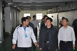 河北省委常委、副省長楊崇勇到我公司視察